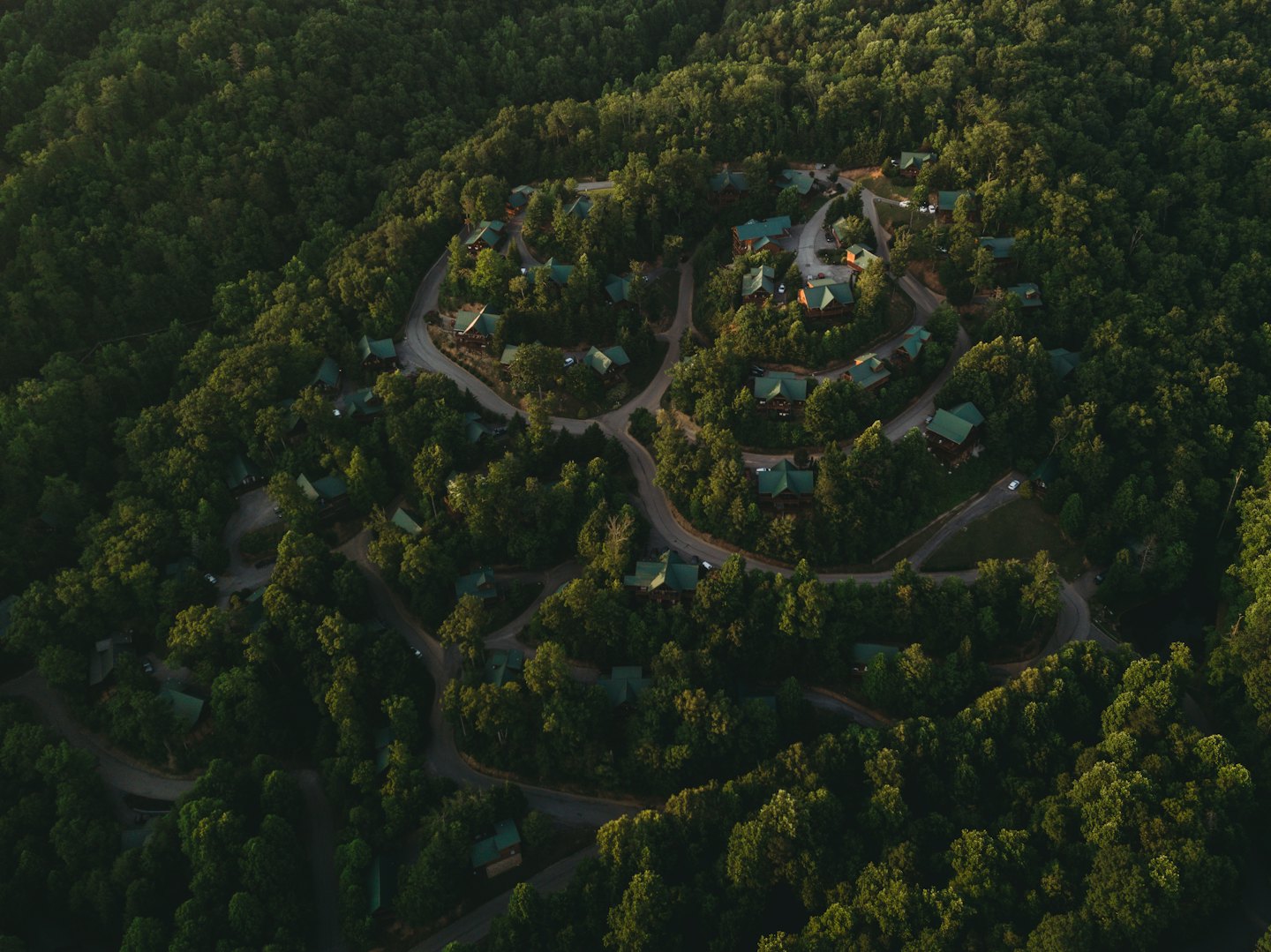 Wooden cabins with green roofs sit nestled in a dense forest.