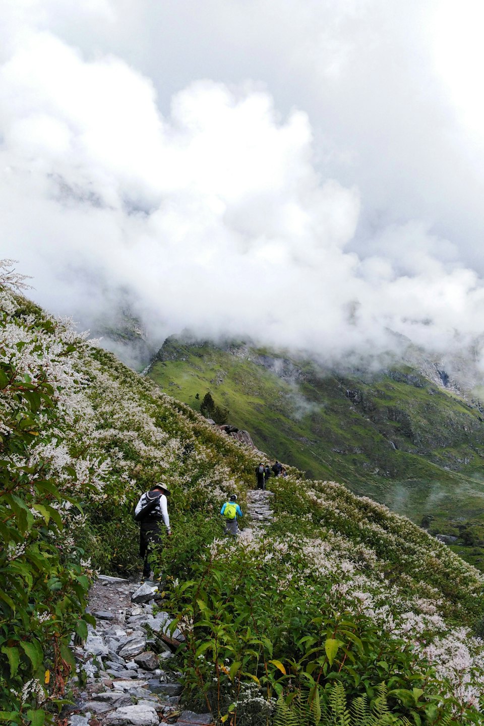 Hikers with backpacks walk up a rocky mountain trail.