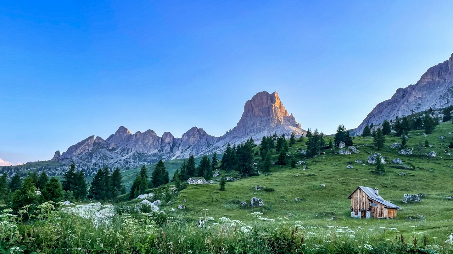 Wooden cabin in a green mountain meadow with wildflowers.